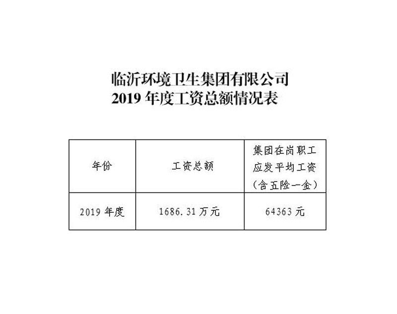 临沂环境卫生集团有限公司2019年度工资总额情况表